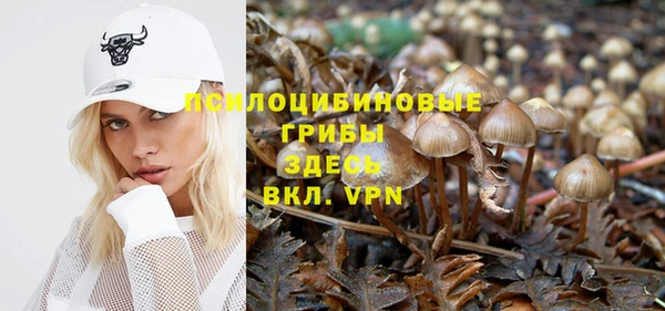 jwh Ладушкин